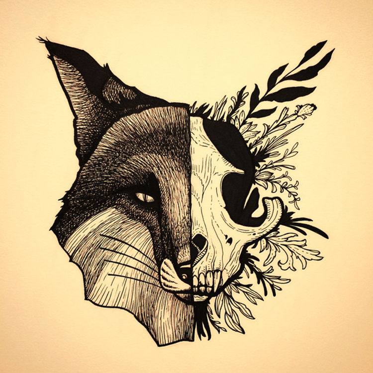 Animal Fino print by Dino Nemec