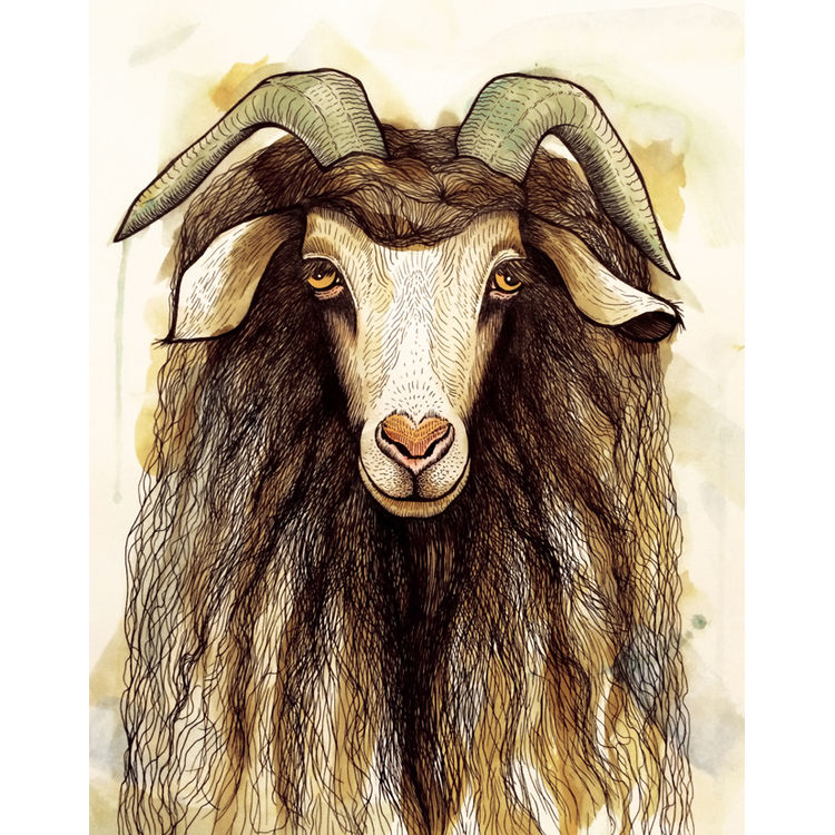 Cabrita print by Dino Nemec