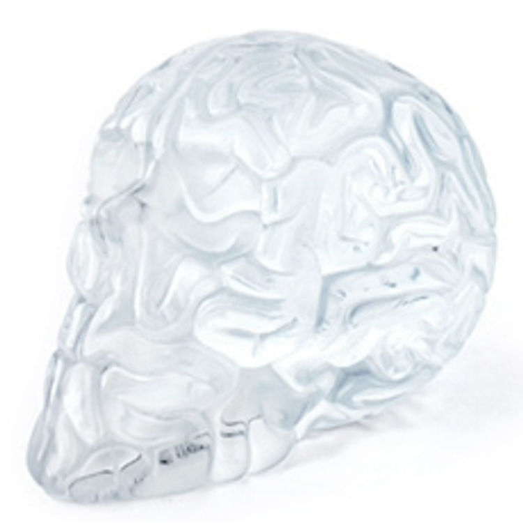 SKULL BRAIN CLEAR by Emilio Garcia