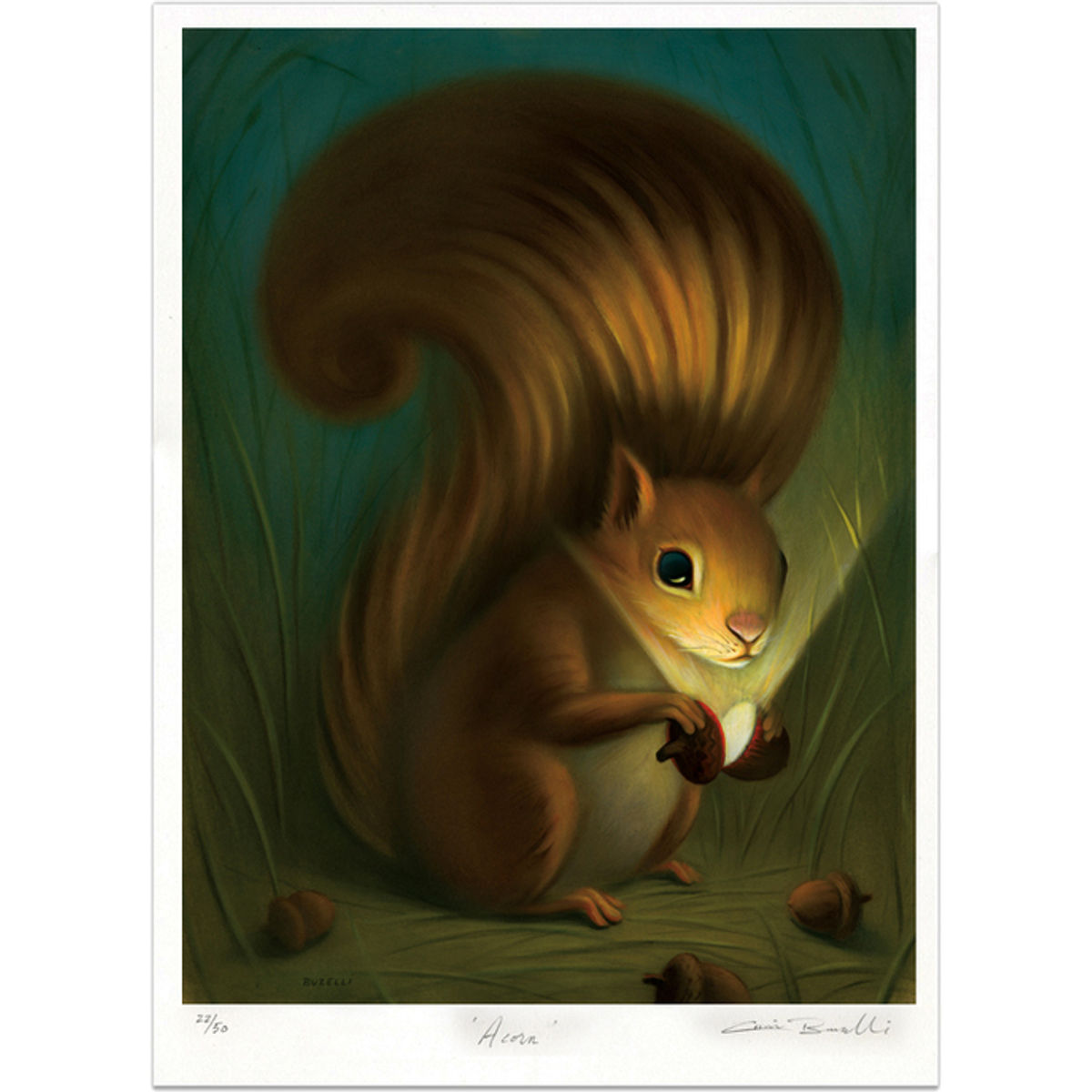 Acorn