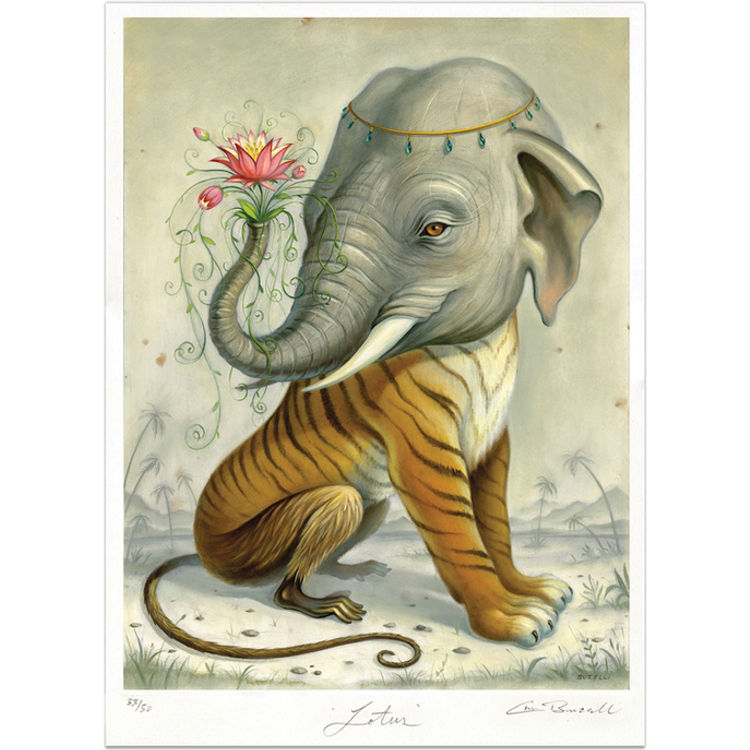 Lotus by Chris Buzelli