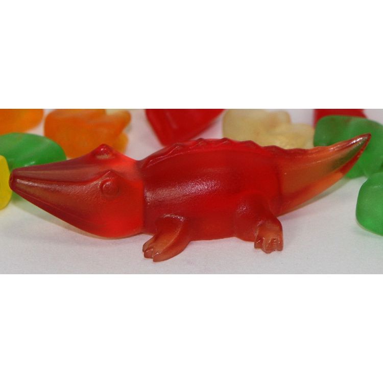 Orange Gummy Alligator by Victoria Rose