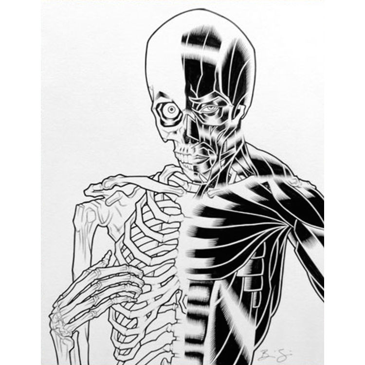 DONNIE DARKO SKELETON by Brian Ewing