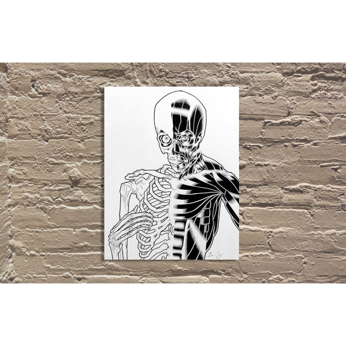 DONNIE DARKO SKELETON