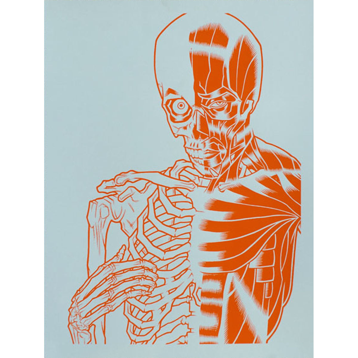 DONNIE DARKO SKELETAL