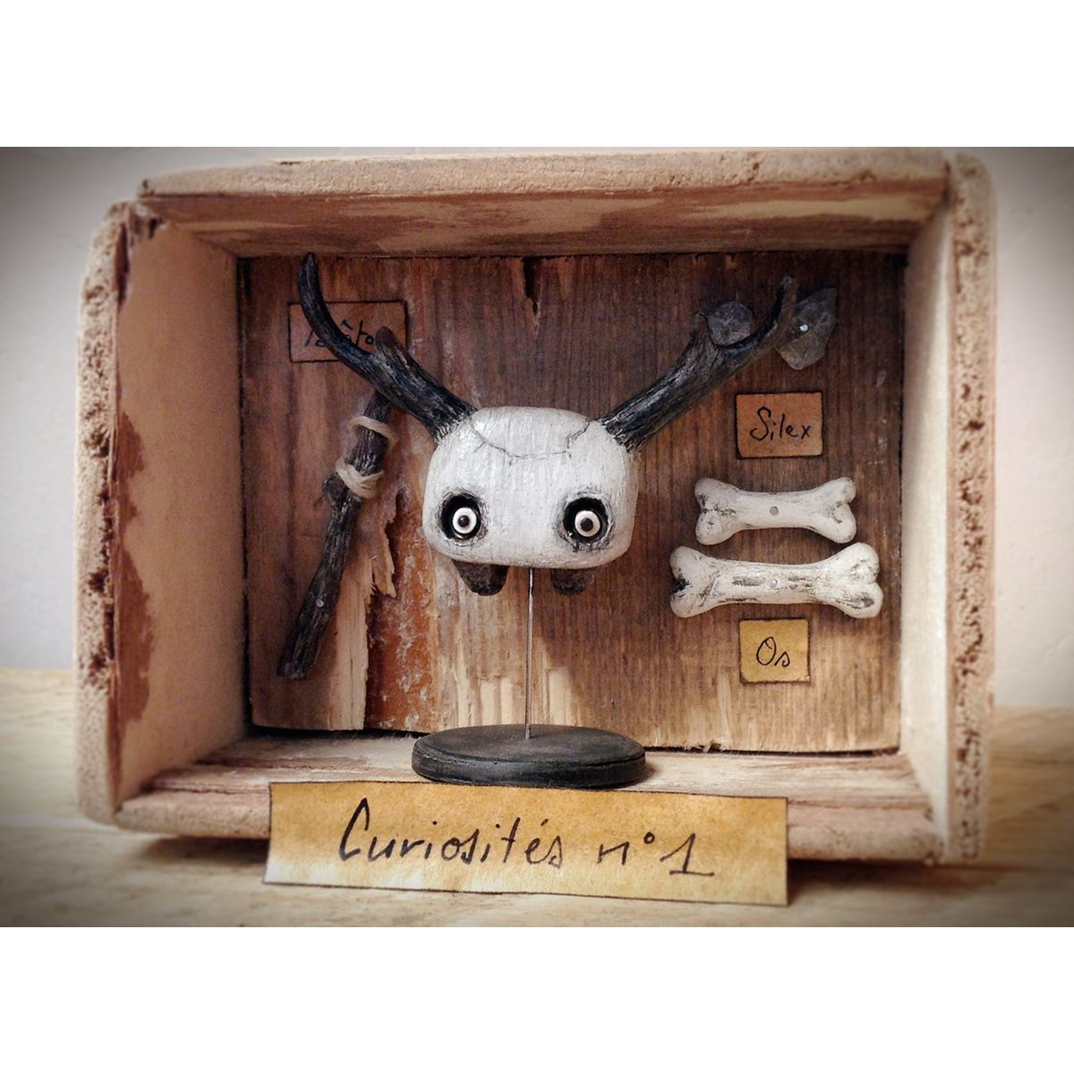 Curiosités n°1 (2014)