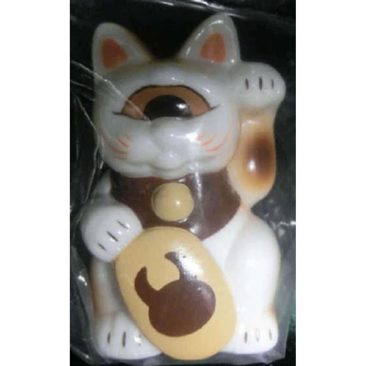 FORTUNE CAT BABY - UAMOU white / brown