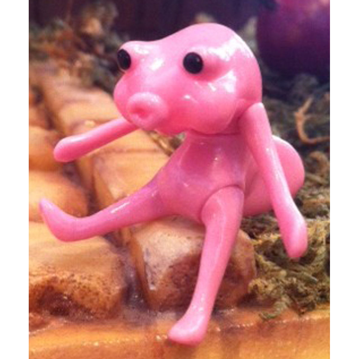 Fortune Wanda Friend - Po Na pound