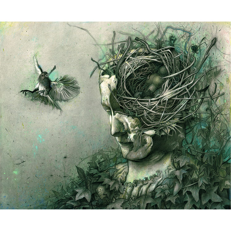 Nest by Rod Luff