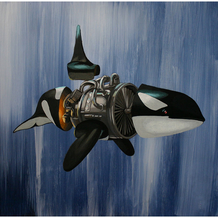 Orcinus Orca by Robert Bowen