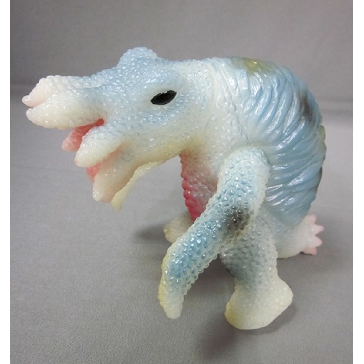 phosphorescent middle size Gorgonzola