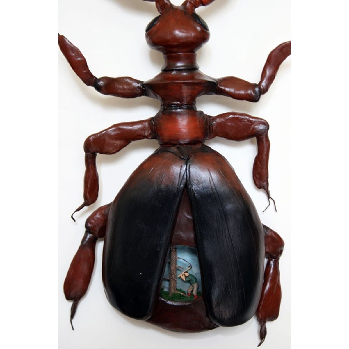 Can't See the Forest for the Trees.......