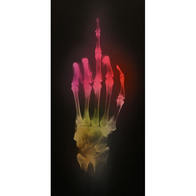 'Anna’s Hummingbird' by Shok-1