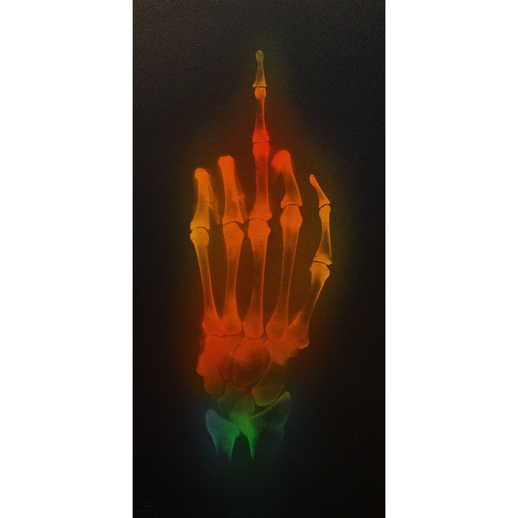 'Sun Parakeet' by Shok-1