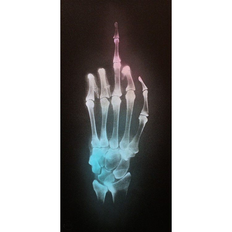 'Blue Fischer's Lovebird' by Shok-1