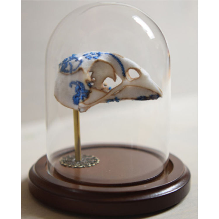 Bone China #2 by Lana Crooks