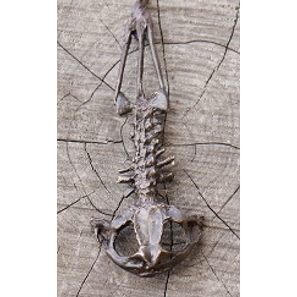 Toad Spine Necklace