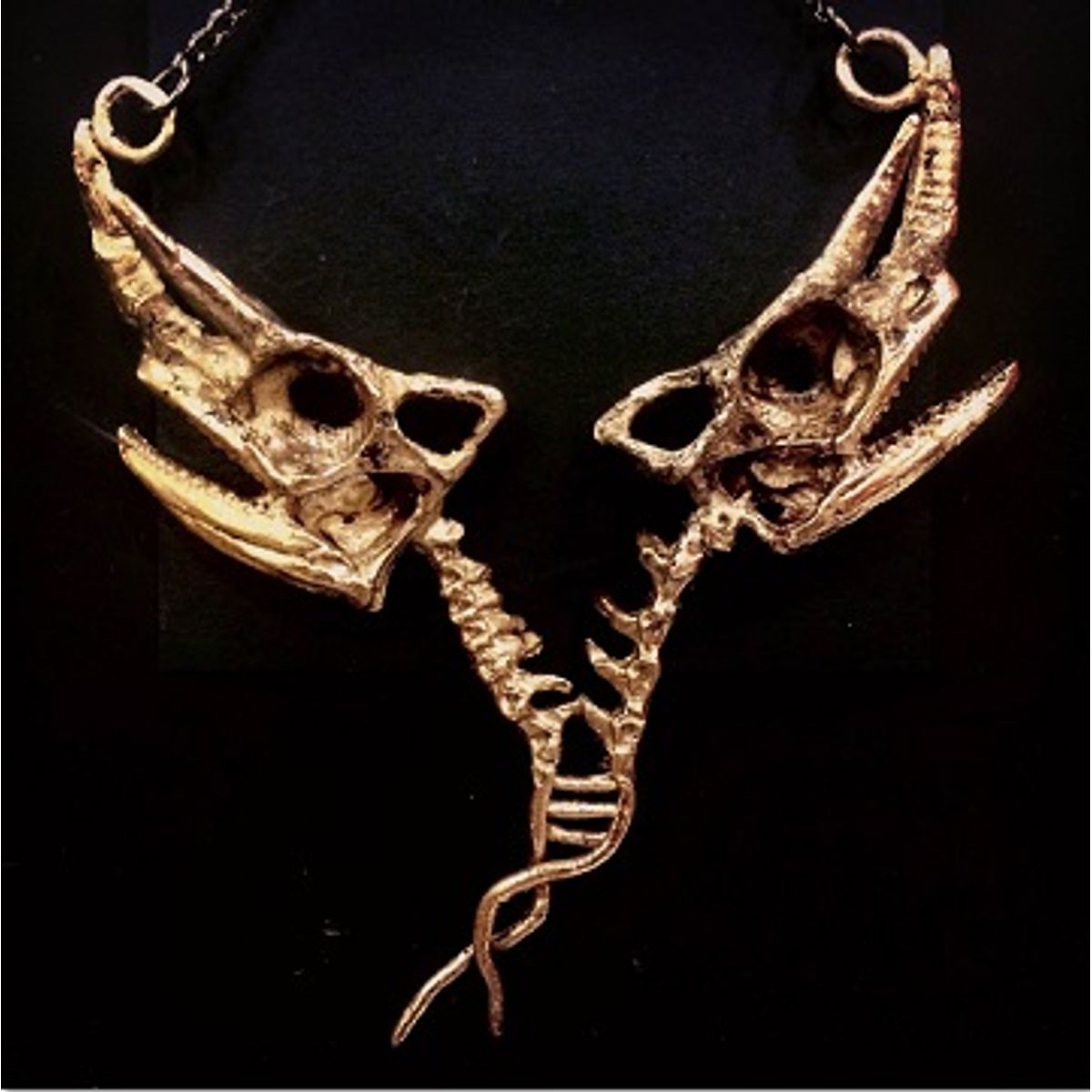 Dicephalic Chameleon Skull