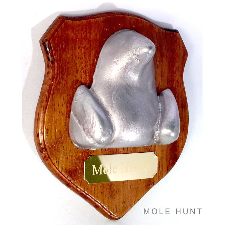 Mole Hunter by Flatties