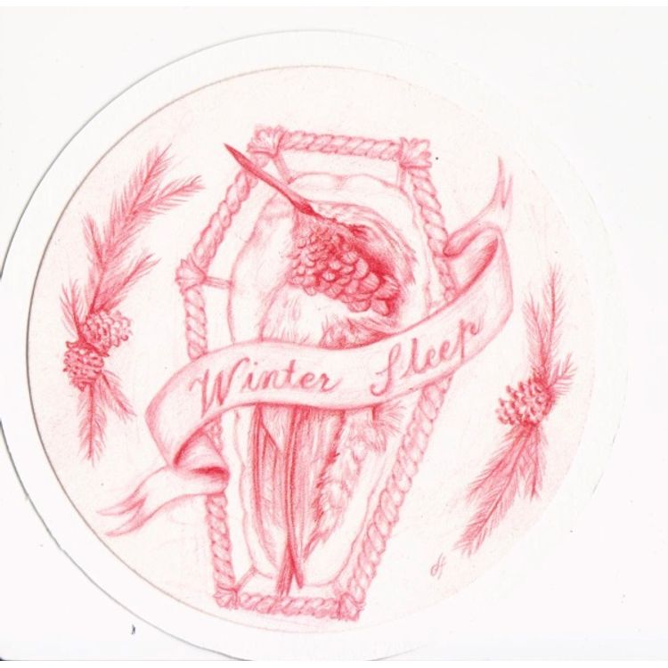 Winter Sleep by Desiree Fessler