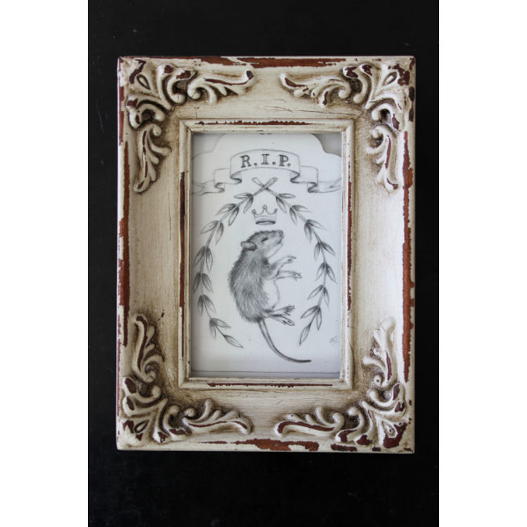 Little Prince by Desiree Fessler