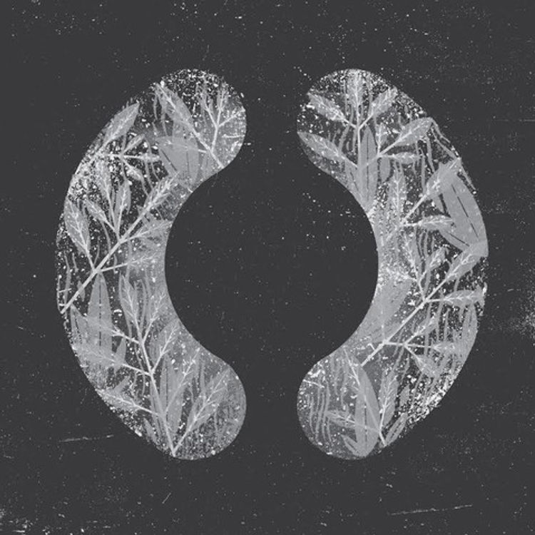 Brackets by Doe Eyed Design