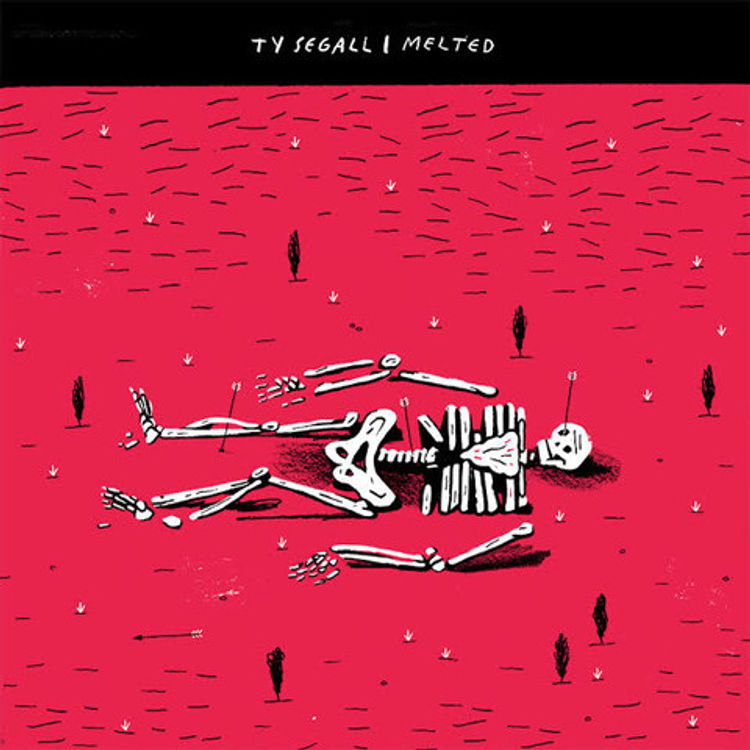 Ty Segall - Melted by Josh Holinaty