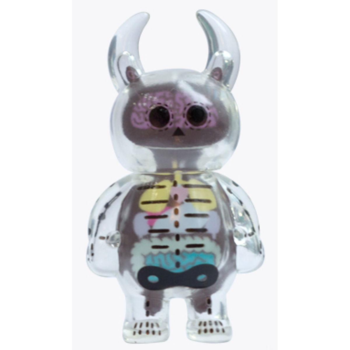 Anatomy Skull Uamou - Clear Purple Brain