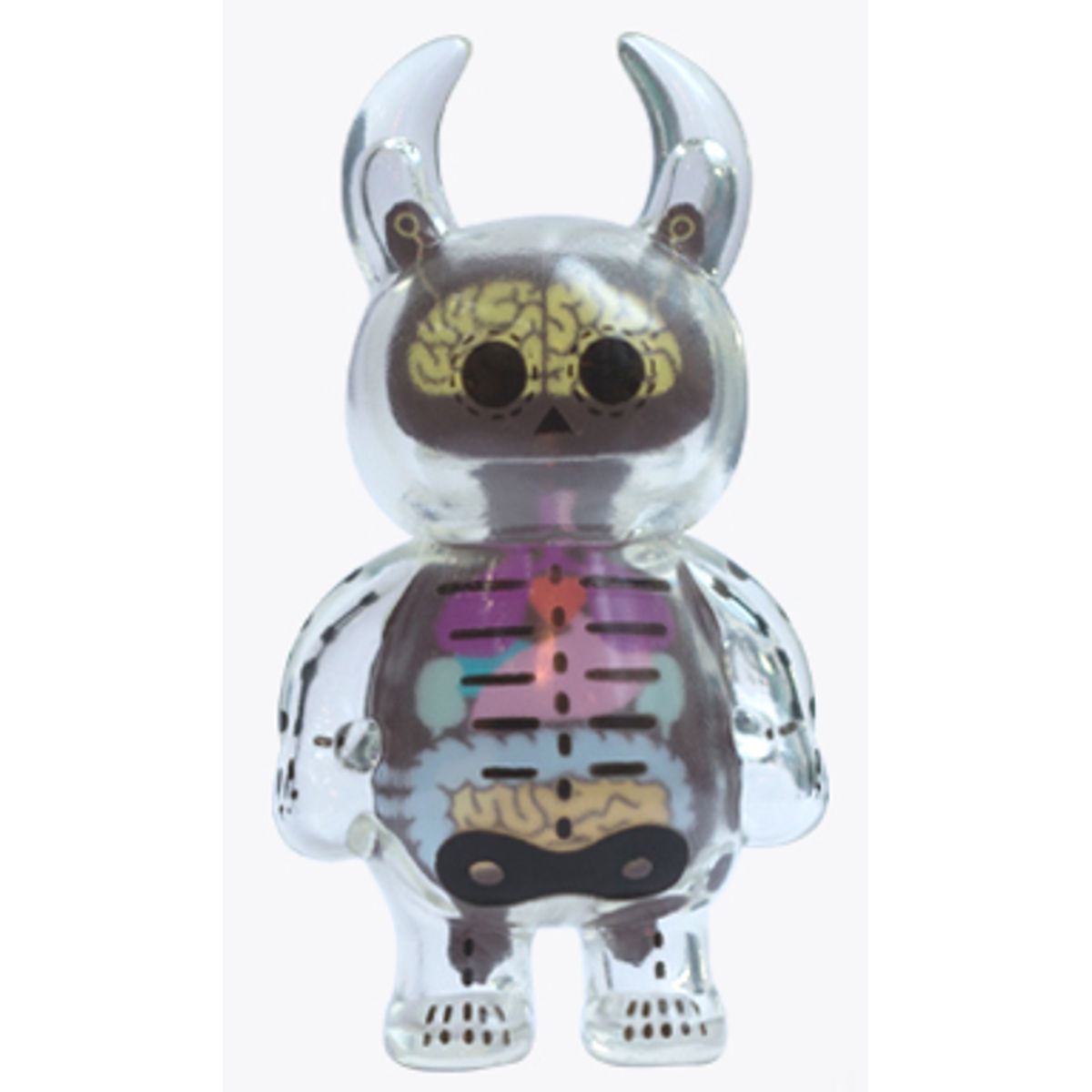 Anatomy Skull Uamou - Clear  Yellow Brain