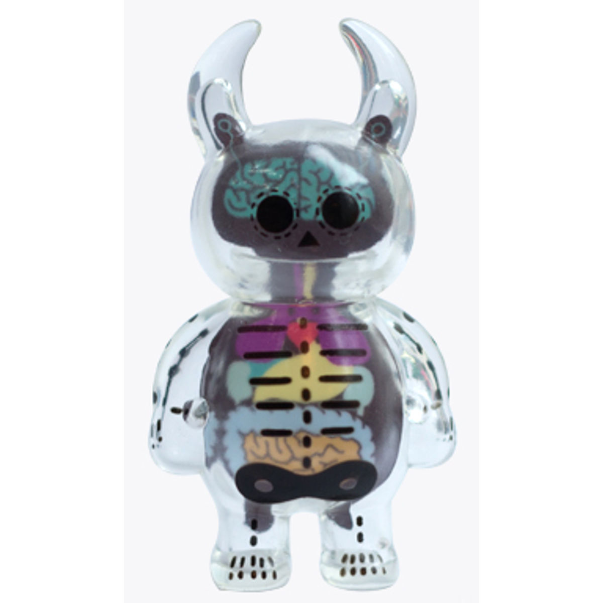 Anatomy Skull Uamou - Clear  Green Brain