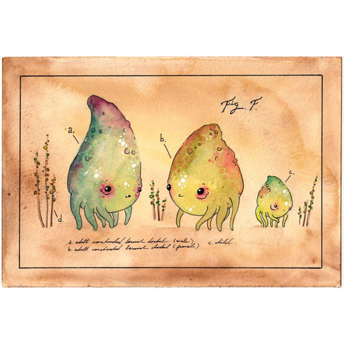 CONEHEADED LARMISH DORBAL PRINT