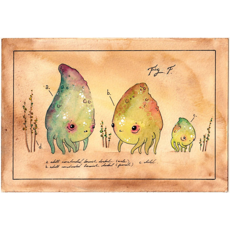 CONEHEADED LARMISH DORBAL PRINT by Sawdust Bear (Shing Yin Khor)