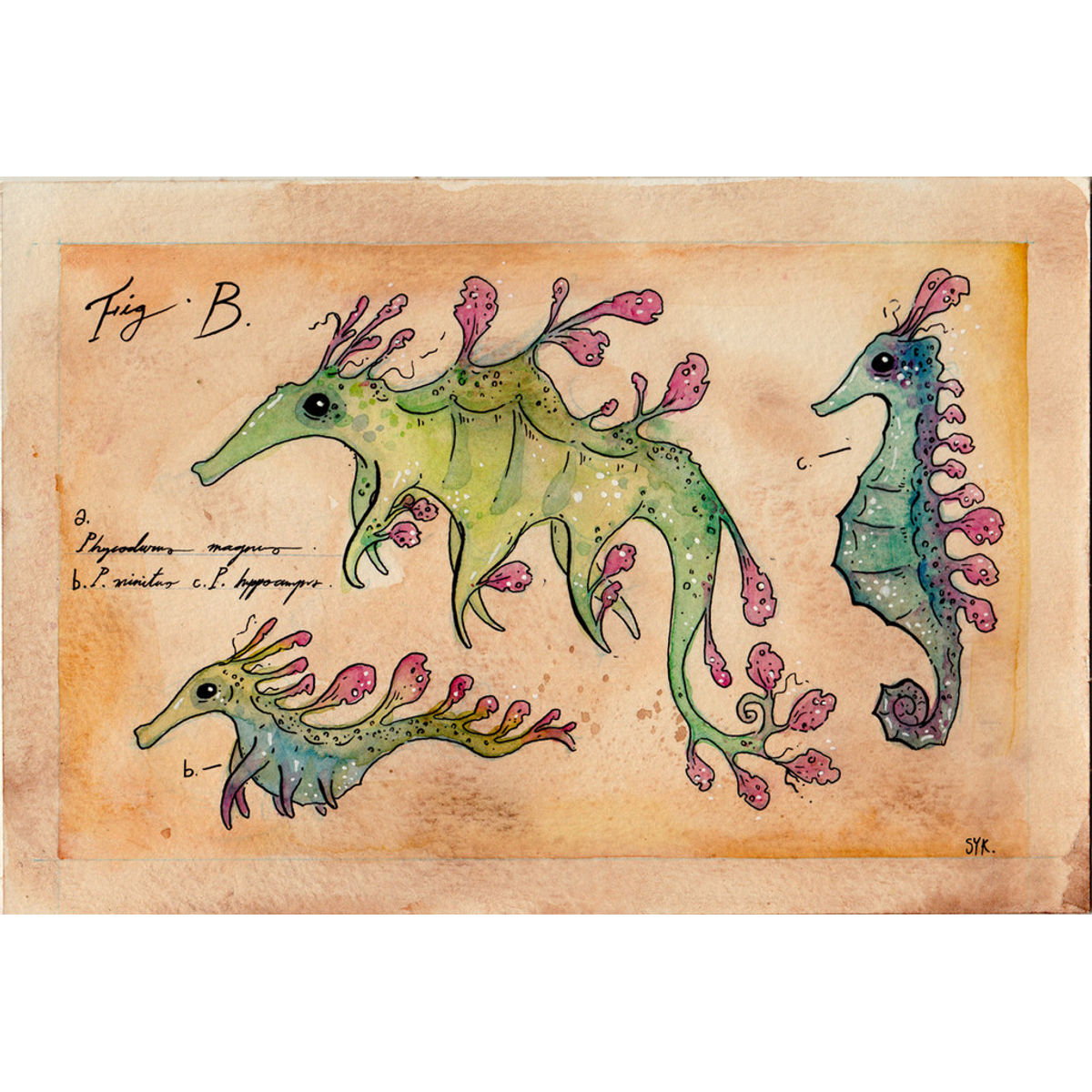 LEAFY SEADRAGONISH PRINT