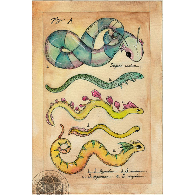 SPACE WORMS PRINT by Sawdust Bear (Shing Yin Khor)