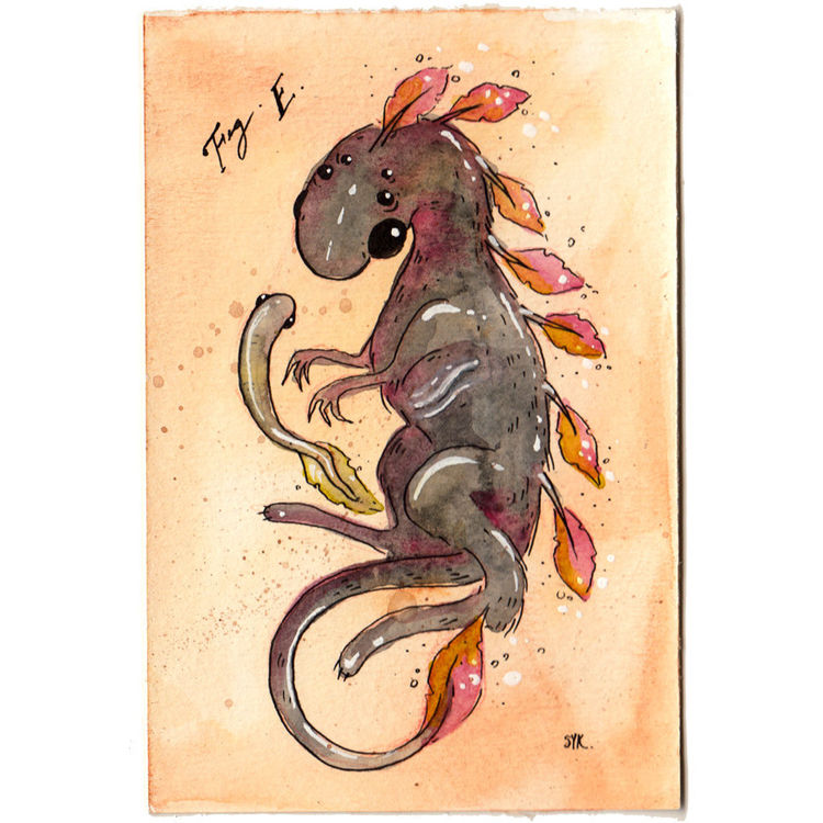 WATERMOUSE by Sawdust Bear (Shing Yin Khor)