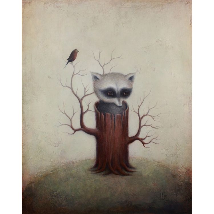 Raccoon by Paul Barnes
