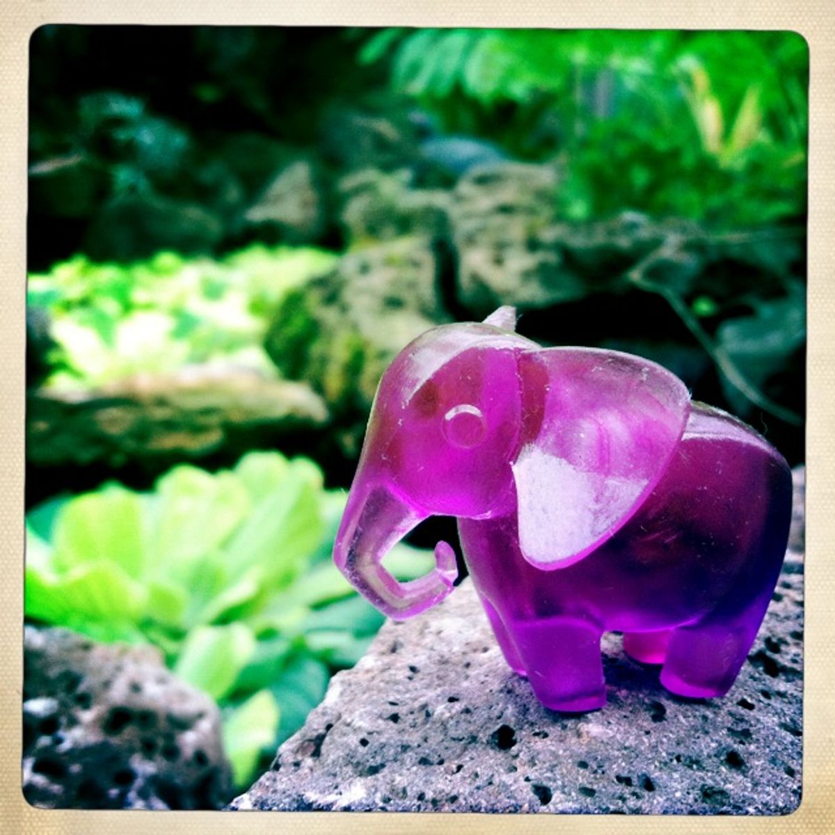 Purple Amethyst Elephant
