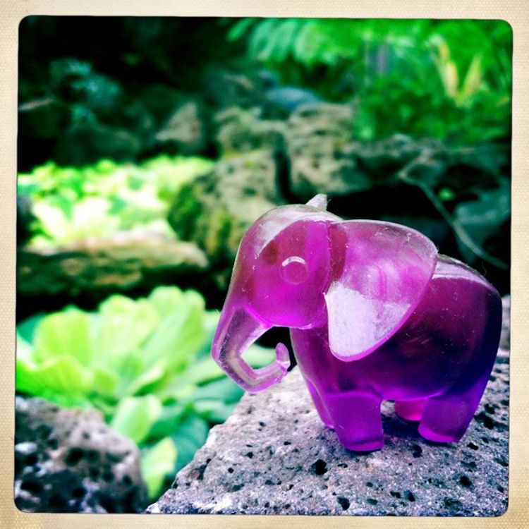 Purple Amethyst Elephant by Victoria Rose