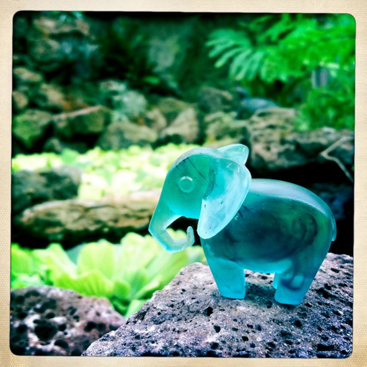 Peacock Quartz Elephant