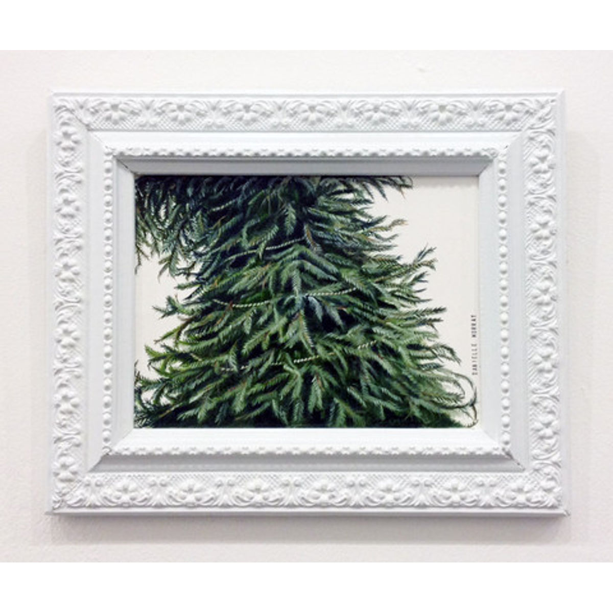 Looks Great. Little Full. Latta Sap.