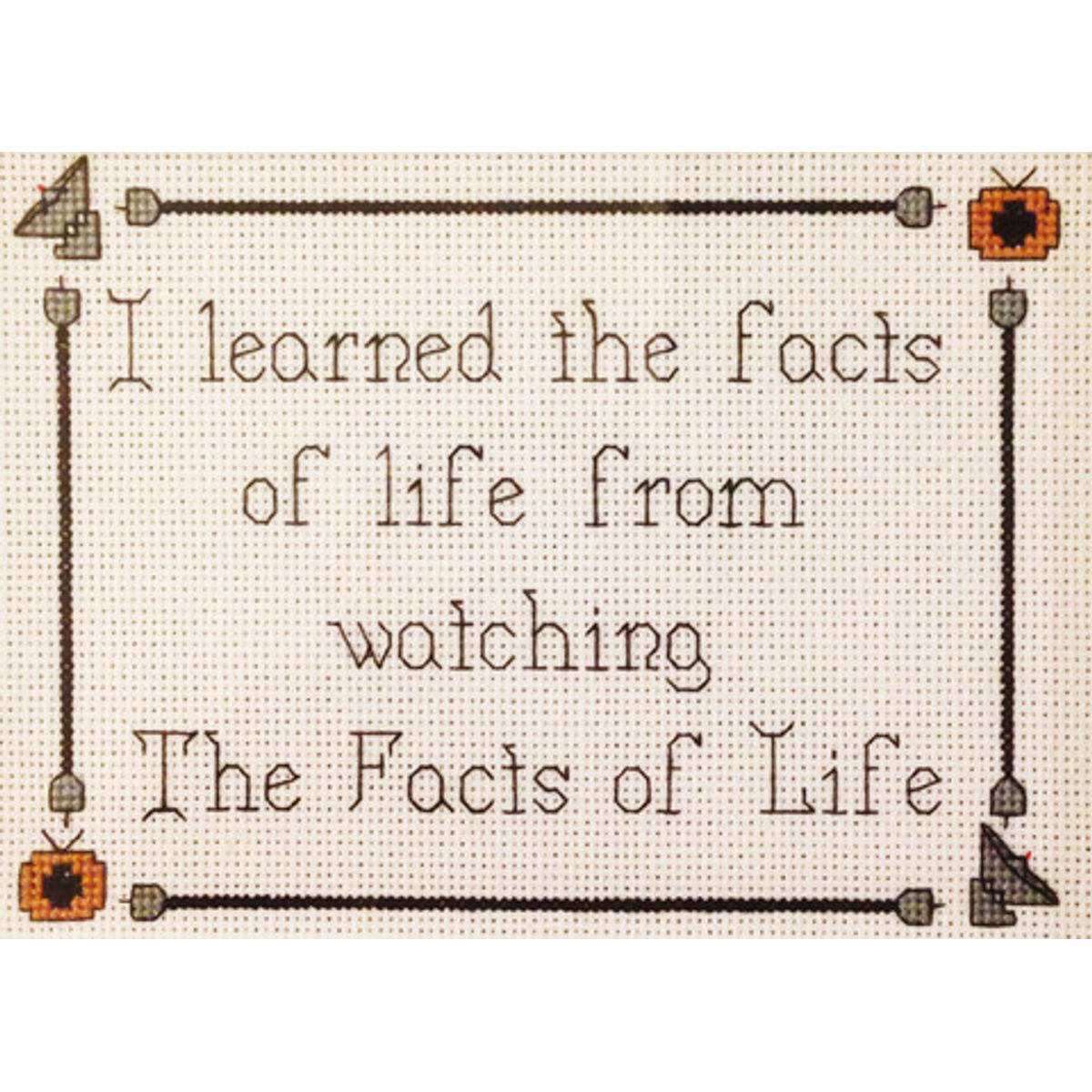 I learned the facts of life from watching The Facts of Life
