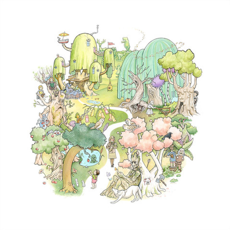 A Walk in the Woods by Tara Krebs