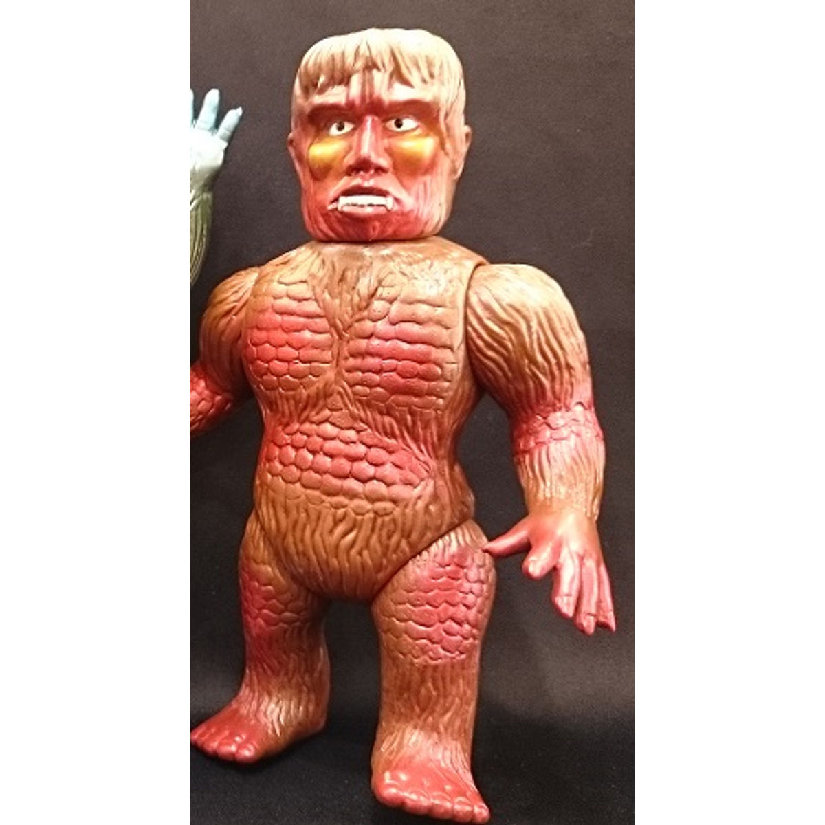 Gaira