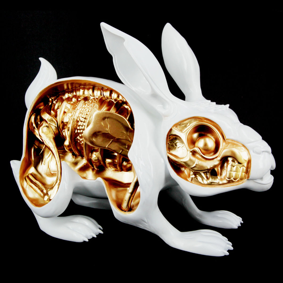 LEPUS PELLIS OS OMENTUM - WHITE / GOLD