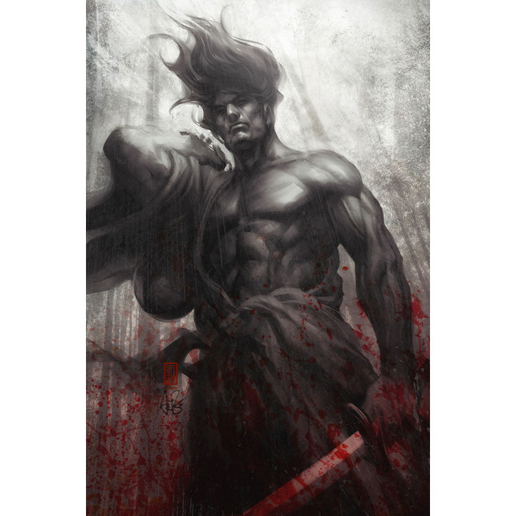 Samurai Spirit Musou by Artgerm™