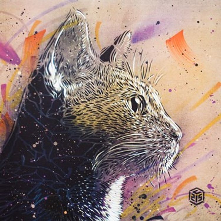 Magnificat by C215