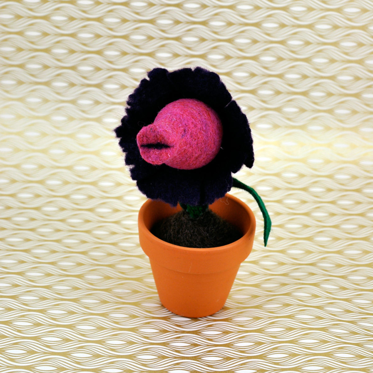 Caelestis Basiator (Heavenly Kisser) #8