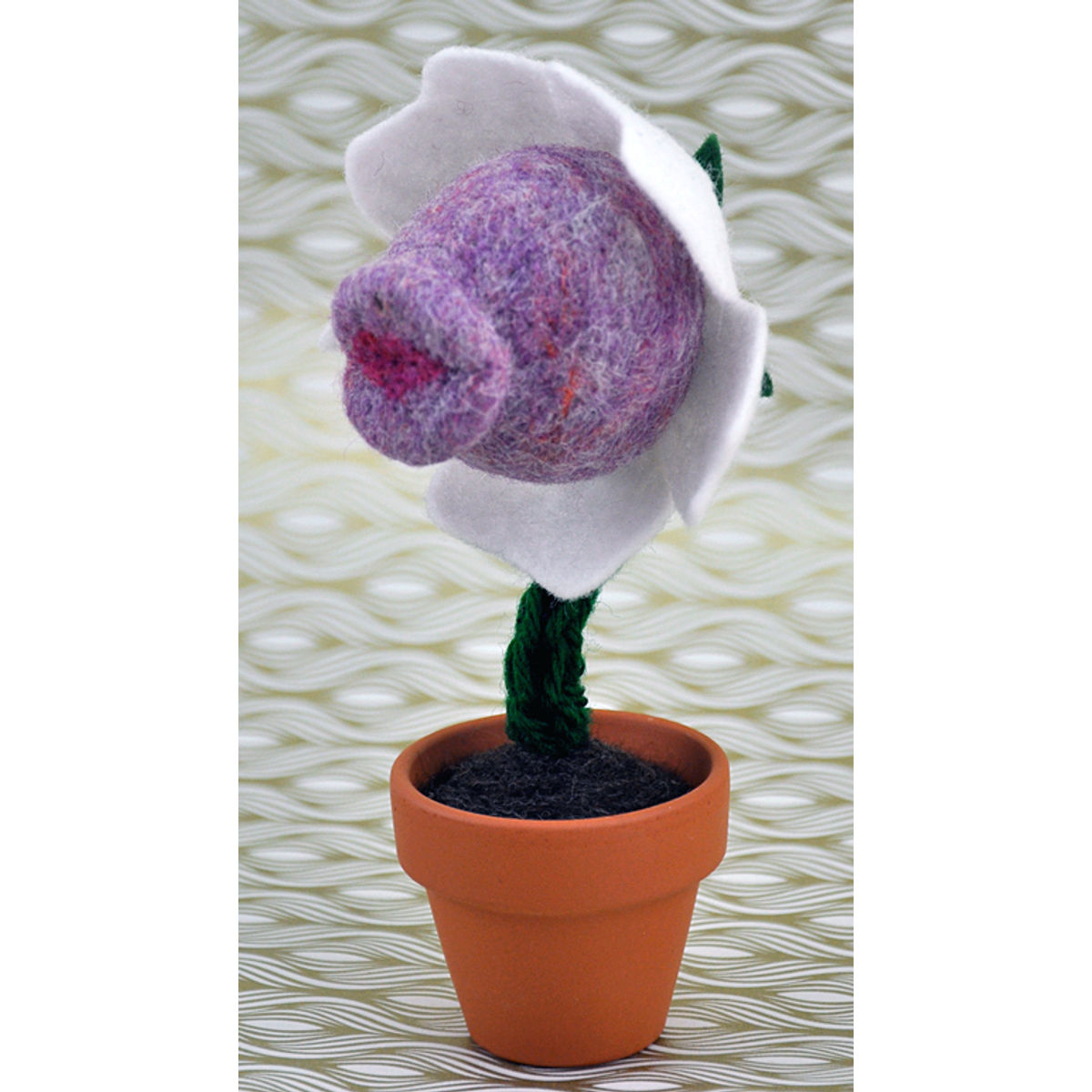 Caelestis Basiator (Heavenly Kisser) #9