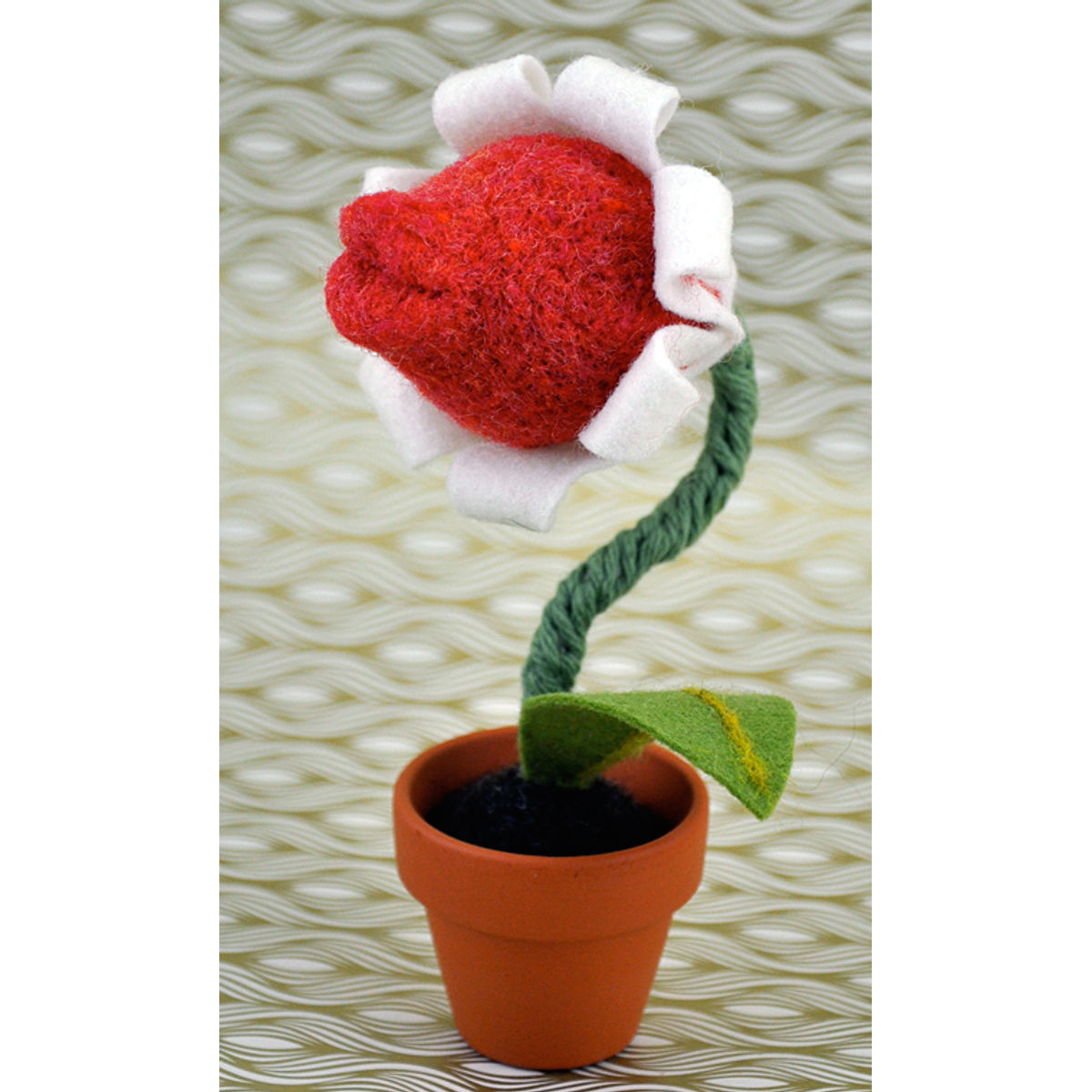 Caelestis Basiator (Heavenly Kisser) #11