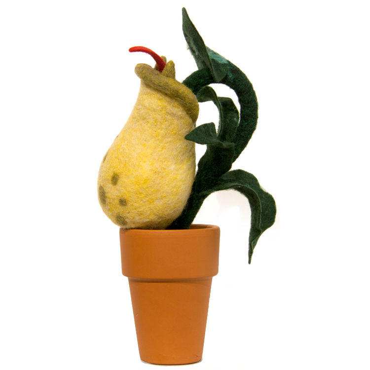 Carnivorous Pitcher Plant by plushPLAY (Mariangela Tan)